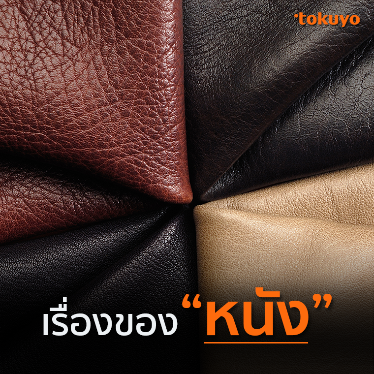 เรื่องของ ''หนัง'' เรื่องของ ''หนัง''
